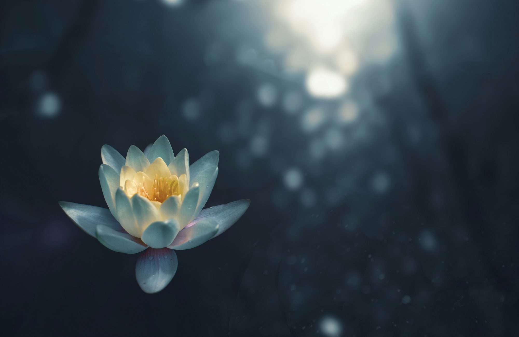 Stillness